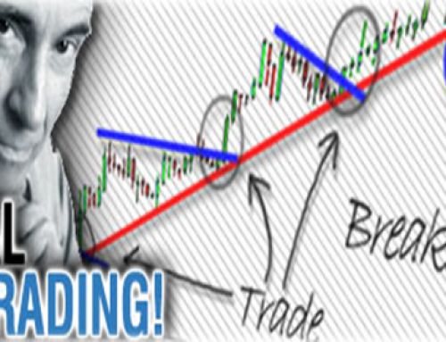 Hector trader forex trading course free download