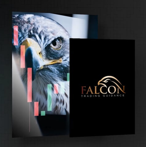 Falcon trading forex