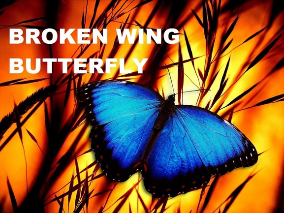 John Locke - Broken Wing Butterfly Master Track Series