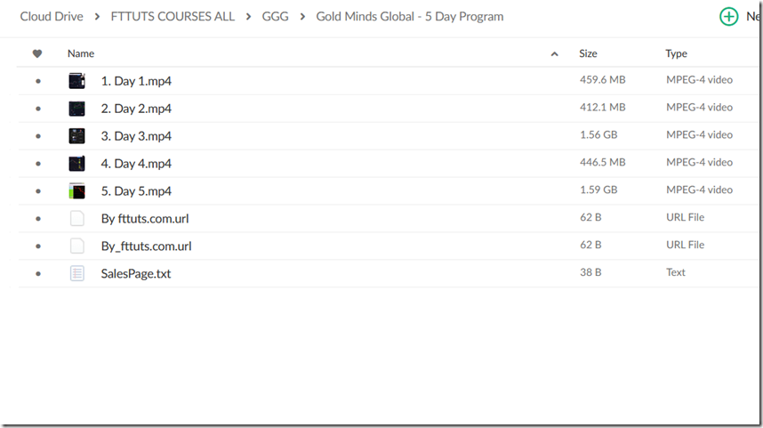 Gold Minds Global - 5 Day Program2