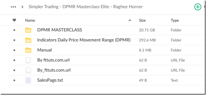 Simpler Trading - DPMR Masterclass - Raghee Horner 1