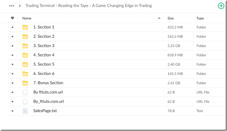 Trading Terminal - Reading the Tape - A Game Changing Edge in Trading 1