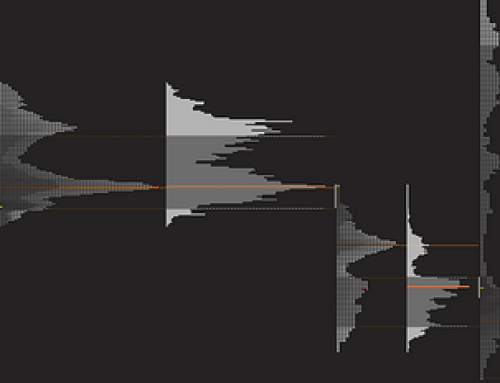 Price Action Volume Trader – Trading with Market and Volume Profile