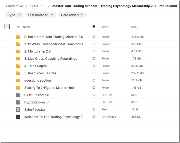 Master Your Trading Mindset - Trading Psychology Mentorship 2.0 - Pat Bailouni 1
