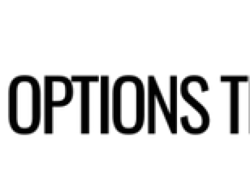 Amy Meissner – TimeEdge Weekly Option Strategy Workshop 20$