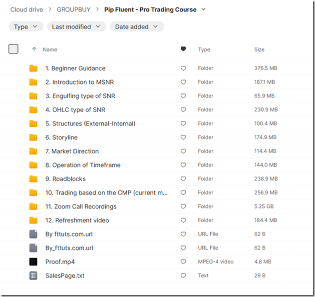 Pip Fluent - Pro Trading Course 1