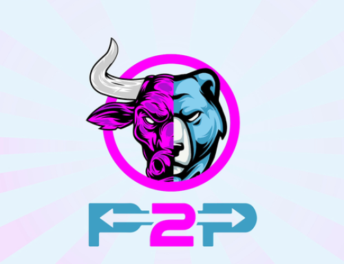 Pay2PlayUniversity Course 40$